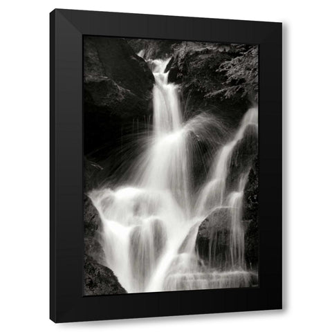 Falling Water II BW Black Modern Wood Framed Art Print by Taylor, Douglas