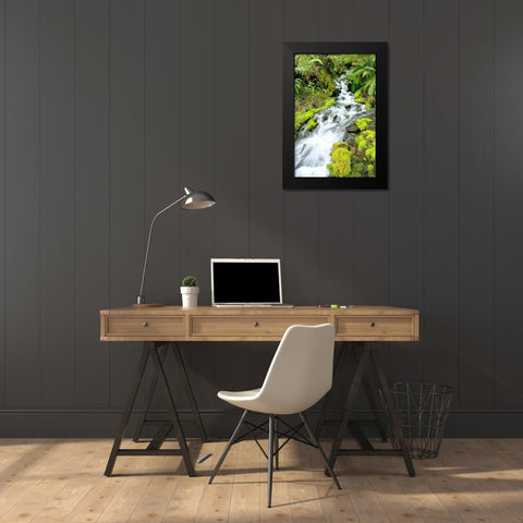 Mountain Stream Black Modern Wood Framed Art Print by Taylor, Douglas