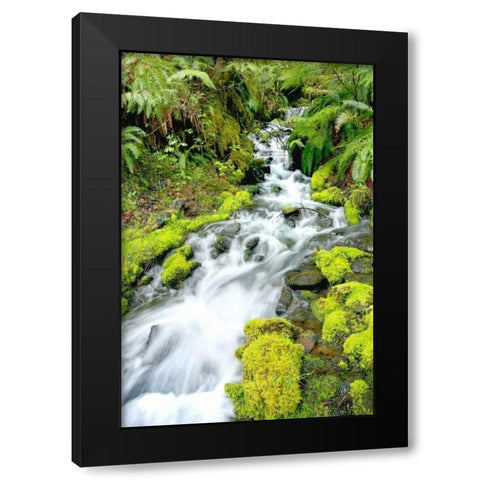 Mountain Stream Black Modern Wood Framed Art Print by Taylor, Douglas