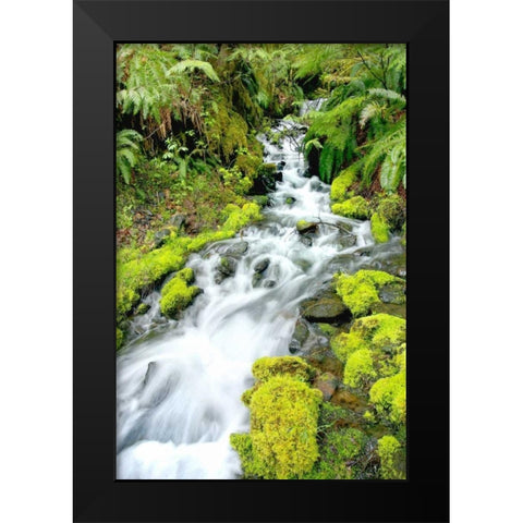 Mountain Stream Black Modern Wood Framed Art Print by Taylor, Douglas
