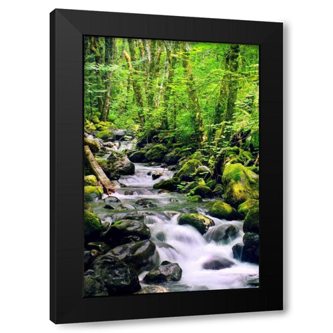 Snowmelt Black Modern Wood Framed Art Print by Taylor, Douglas