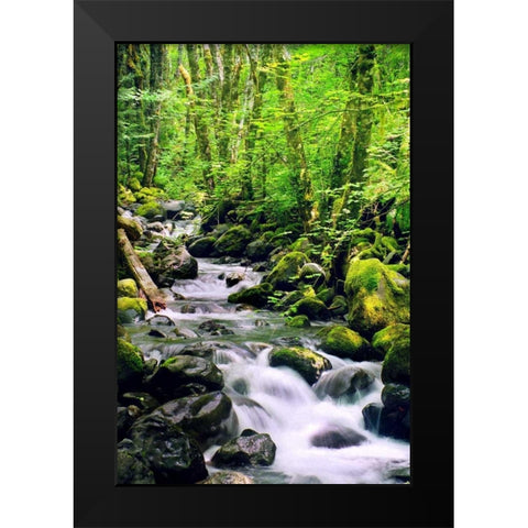 Snowmelt Black Modern Wood Framed Art Print by Taylor, Douglas