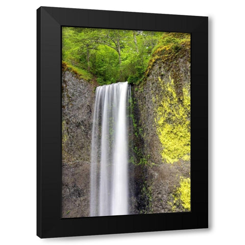 Latourell Falls Black Modern Wood Framed Art Print with Double Matting by Taylor, Douglas