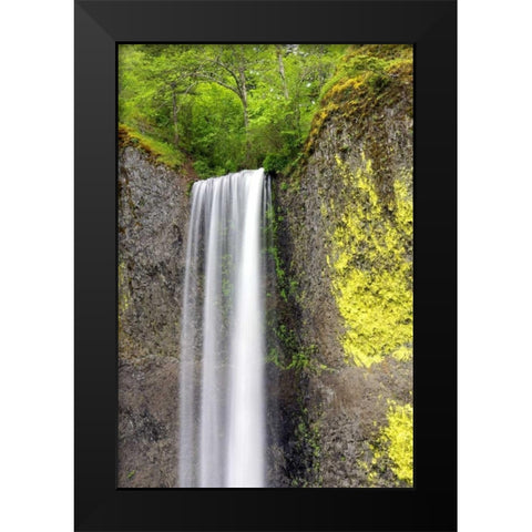 Latourell Falls Black Modern Wood Framed Art Print by Taylor, Douglas