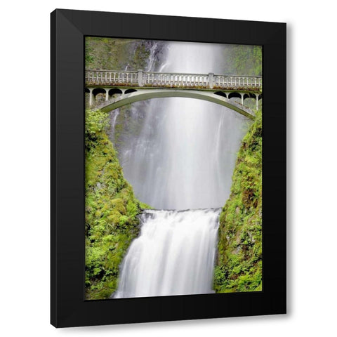 Water Under the Bridge Black Modern Wood Framed Art Print with Double Matting by Taylor, Douglas
