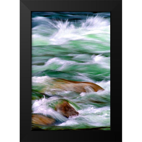 By the River II Black Modern Wood Framed Art Print by Taylor, Douglas