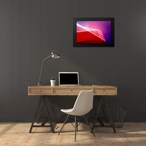 Shockwave Black Modern Wood Framed Art Print by Taylor, Douglas