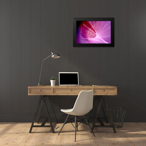 The Shell Black Modern Wood Framed Art Print by Taylor, Douglas