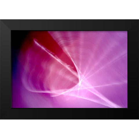 The Shell Black Modern Wood Framed Art Print by Taylor, Douglas