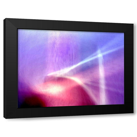 Sunken Forest Black Modern Wood Framed Art Print by Taylor, Douglas