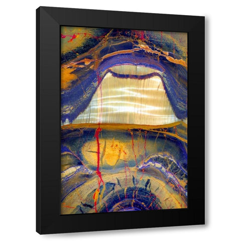 Tiger Eye Black Modern Wood Framed Art Print by Taylor, Douglas