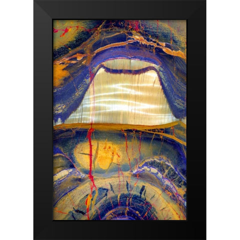 Tiger Eye Black Modern Wood Framed Art Print by Taylor, Douglas