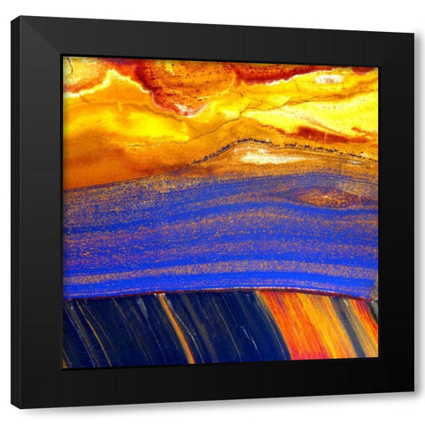 Archaea Sq Black Modern Wood Framed Art Print by Taylor, Douglas