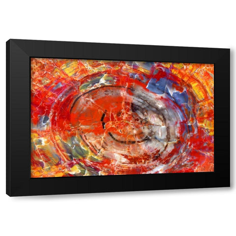 Minerals in Wood Black Modern Wood Framed Art Print with Double Matting by Taylor, Douglas