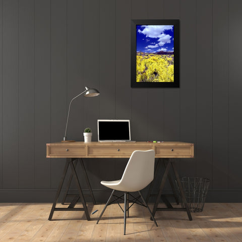 Palo Verde Bloom Black Modern Wood Framed Art Print by Taylor, Douglas