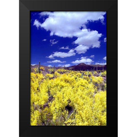 Palo Verde Bloom Black Modern Wood Framed Art Print by Taylor, Douglas