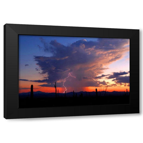 Twilight Lightning II Black Modern Wood Framed Art Print with Double Matting by Taylor, Douglas
