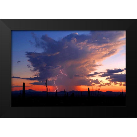 Twilight Lightning II Black Modern Wood Framed Art Print by Taylor, Douglas