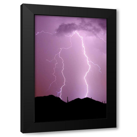 Summer Lightning Black Modern Wood Framed Art Print by Taylor, Douglas