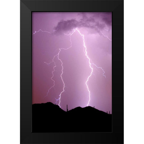 Summer Lightning Black Modern Wood Framed Art Print by Taylor, Douglas