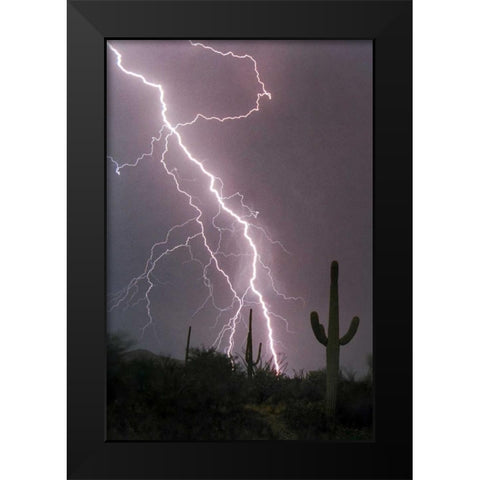 Fire and Rain Black Modern Wood Framed Art Print by Taylor, Douglas