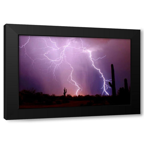 Electrifying Black Modern Wood Framed Art Print with Double Matting by Taylor, Douglas