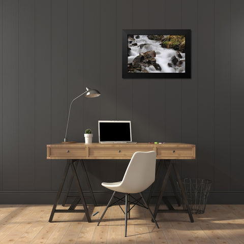 Stream Falls II Black Modern Wood Framed Art Print by Thomas, Logan