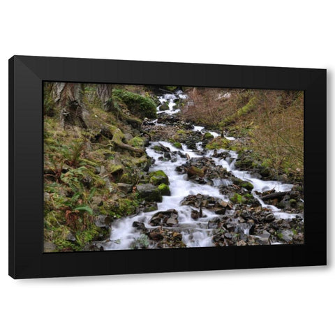 Stream Falls VI Black Modern Wood Framed Art Print by Thomas, Logan