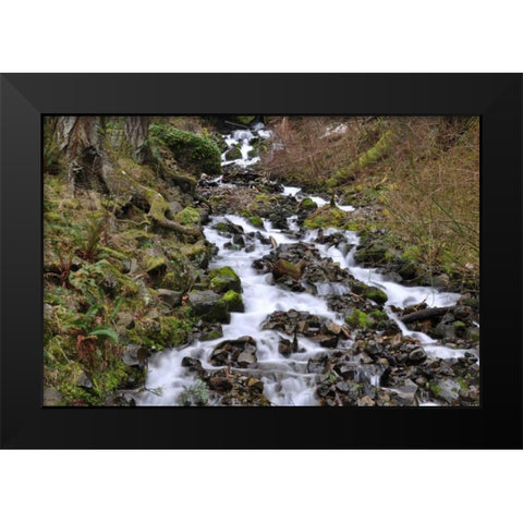 Stream Falls VI Black Modern Wood Framed Art Print by Thomas, Logan
