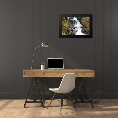 Stream Falls VII Black Modern Wood Framed Art Print by Thomas, Logan