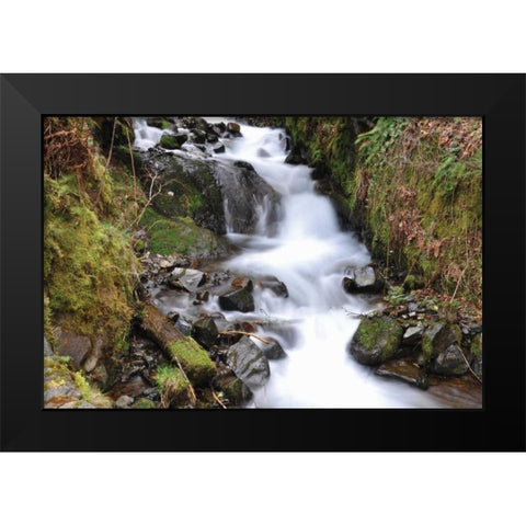 Stream Falls VII Black Modern Wood Framed Art Print by Thomas, Logan