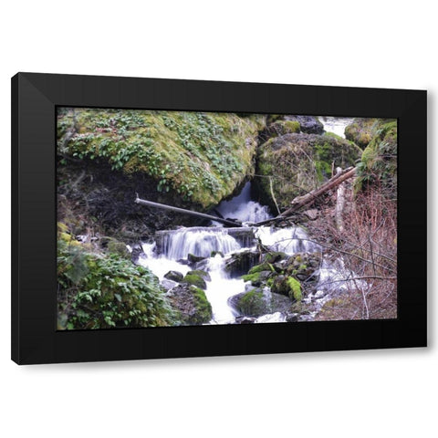 Stream Falls VIII Black Modern Wood Framed Art Print by Thomas, Logan