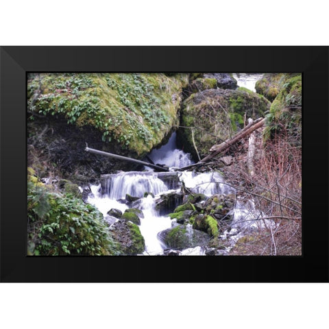 Stream Falls VIII Black Modern Wood Framed Art Print by Thomas, Logan