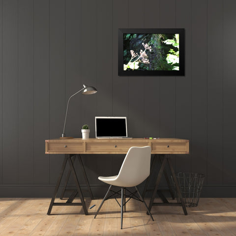 Spiderweb I Black Modern Wood Framed Art Print by Thomas, Logan
