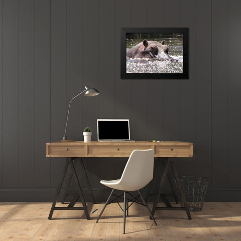 Hippo I Black Modern Wood Framed Art Print by Underdahl, Dana