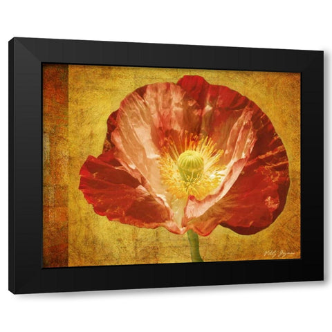 Sun Poppy II Black Modern Wood Framed Art Print with Double Matting by Geyman, Vitaly