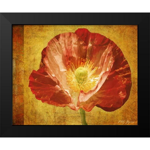Sun Poppy II Black Modern Wood Framed Art Print by Geyman, Vitaly