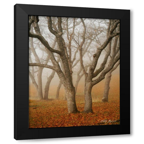 Misty Dance Black Modern Wood Framed Art Print by Geyman, Vitaly