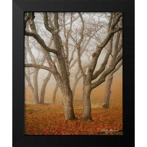 Misty Dance Black Modern Wood Framed Art Print by Geyman, Vitaly