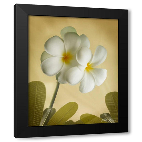 Oriental Plumeria I Black Modern Wood Framed Art Print with Double Matting by Geyman, Vitaly