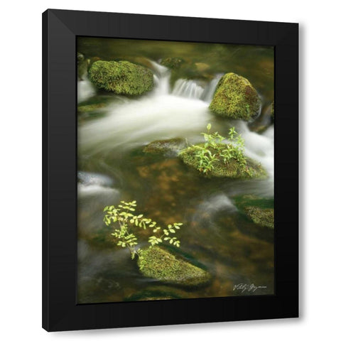 Soothing Waters III Black Modern Wood Framed Art Print with Double Matting by Geyman, Vitaly