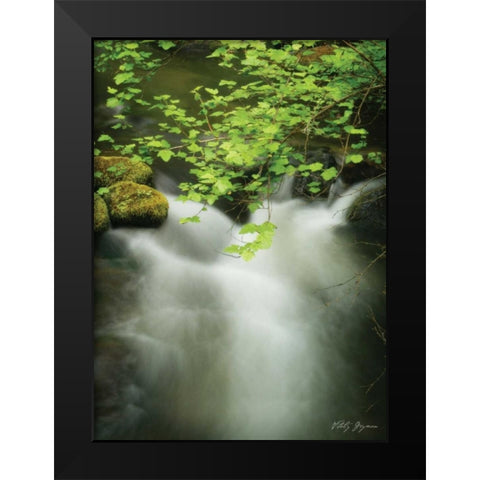 Soothing Waters V Black Modern Wood Framed Art Print by Geyman, Vitaly