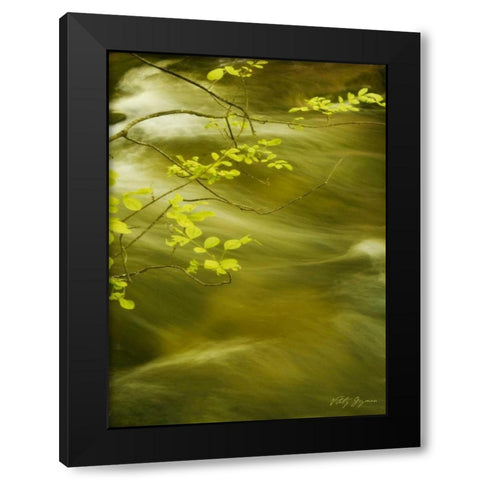 Soothing Waters VII Black Modern Wood Framed Art Print by Geyman, Vitaly