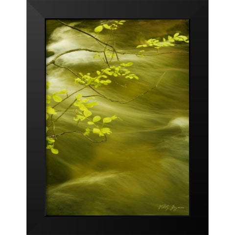 Soothing Waters VII Black Modern Wood Framed Art Print by Geyman, Vitaly