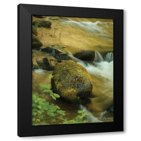 Soothing Waters IX Black Modern Wood Framed Art Print by Geyman, Vitaly
