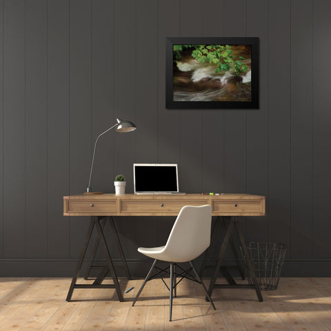 Soothing Waters XV Black Modern Wood Framed Art Print by Geyman, Vitaly