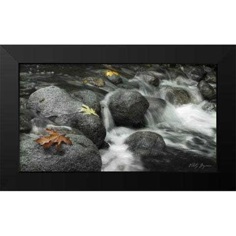 Silver Falls II Black Modern Wood Framed Art Print by Geyman, Vitaly