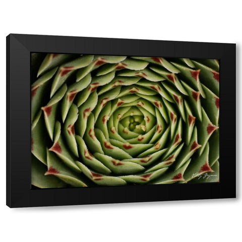 Floral Labyrinth I Color Black Modern Wood Framed Art Print with Double Matting by Geyman, Vitaly