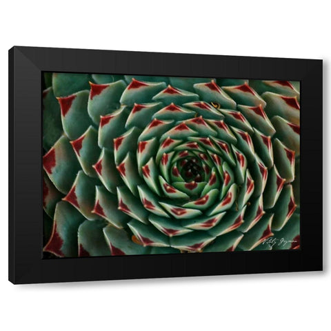 Floral Labyrinth II Color Black Modern Wood Framed Art Print with Double Matting by Geyman, Vitaly