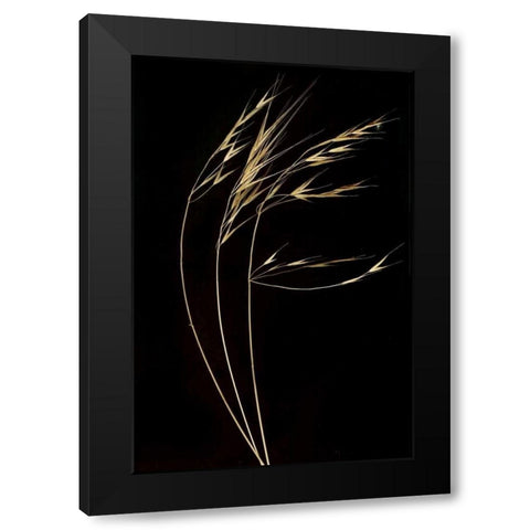Grass Mosaic II Black Modern Wood Framed Art Print with Double Matting by Geyman, Vitaly